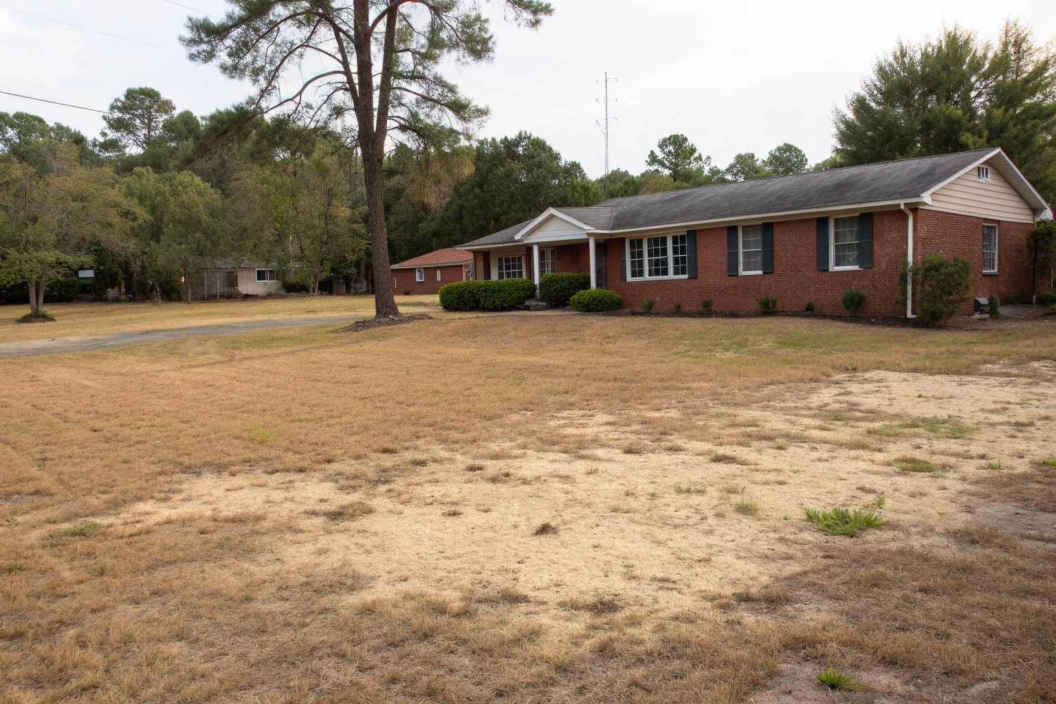 Patchy dry lawn on pale sandy soil in front of a one-story red brick ranch house